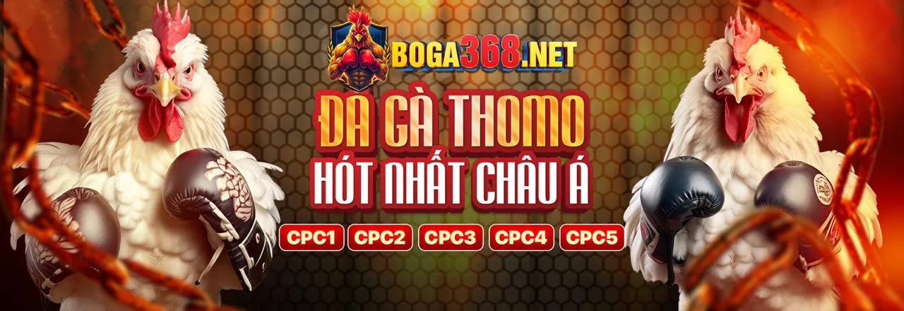 Đá gà trực tuyến in88
