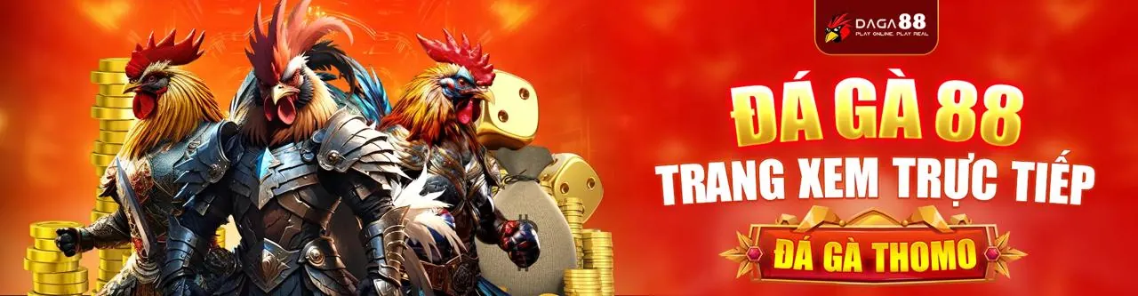Đá gà trực tiếp in88